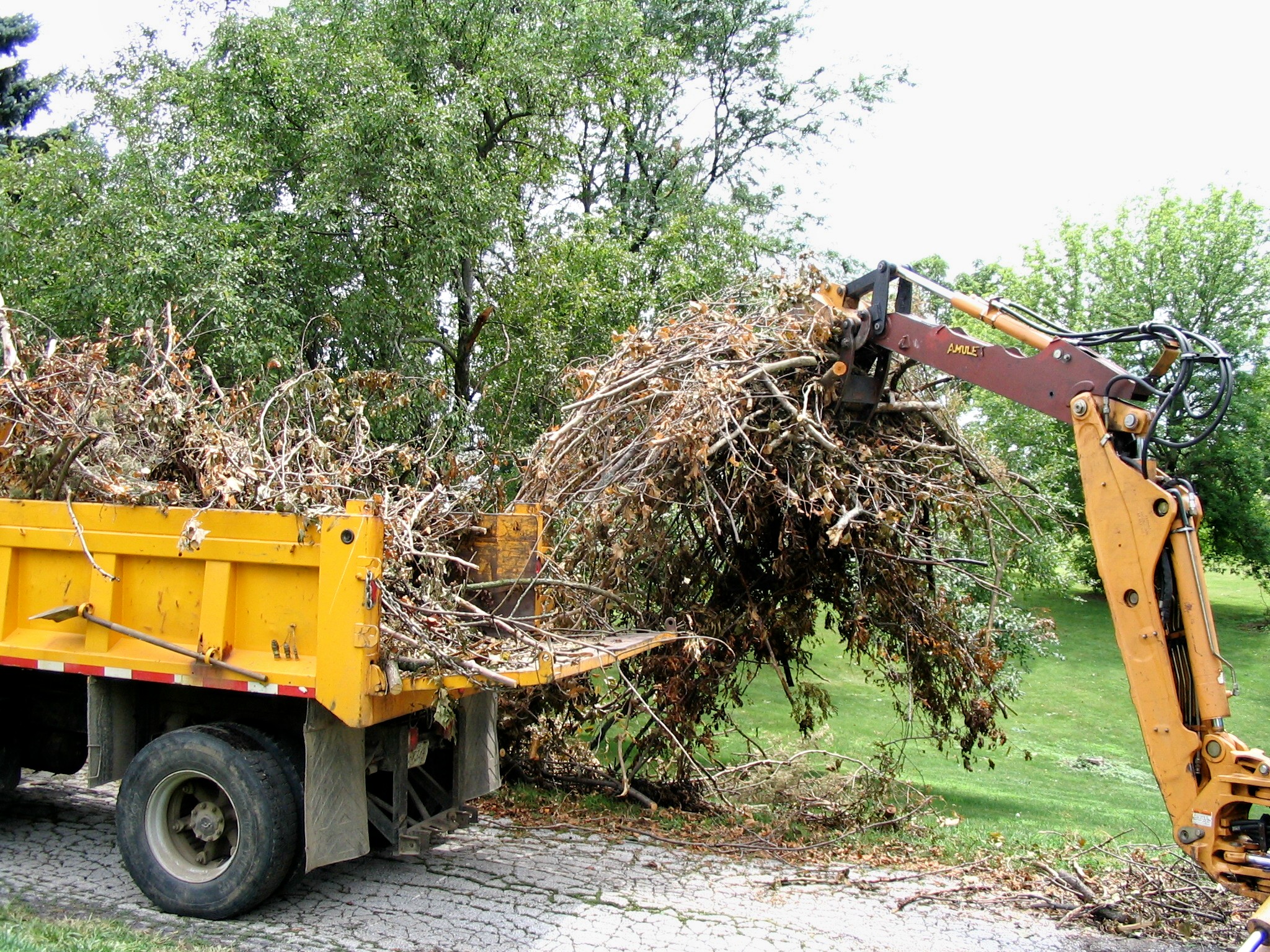 Brush being hauled
