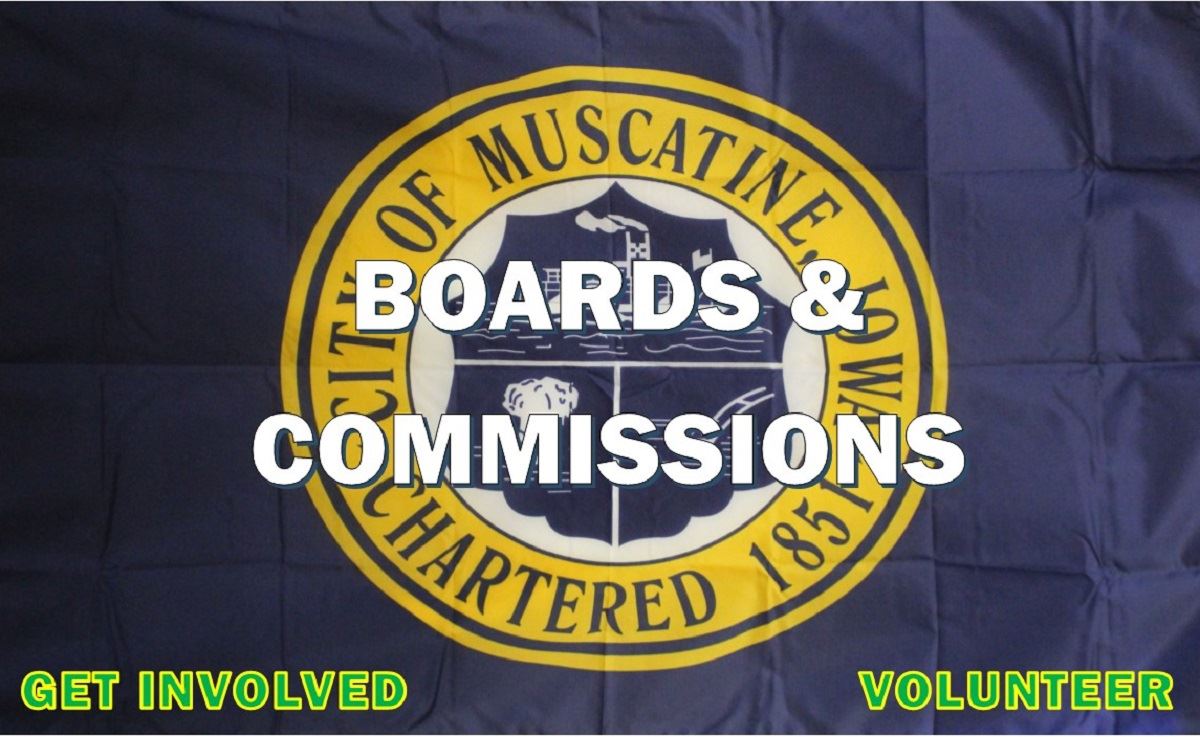 Board and Commissions graphic (JPG)