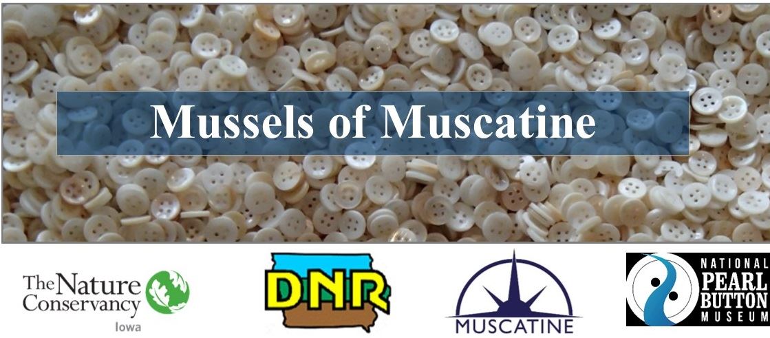 Mussels of Muscatine Header 2 (JPG)