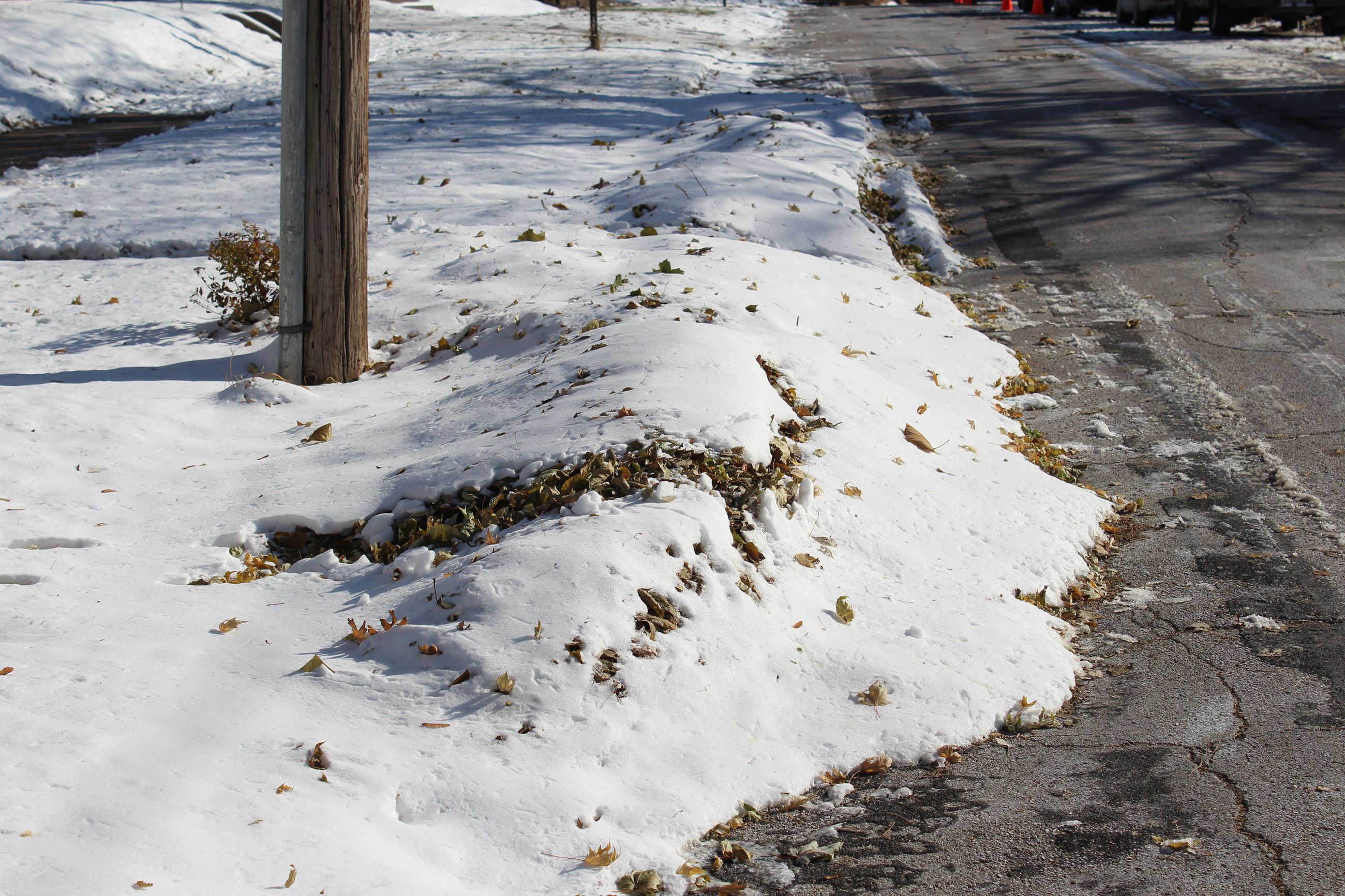 Snow covered leaf piles 111219 (JPG)
