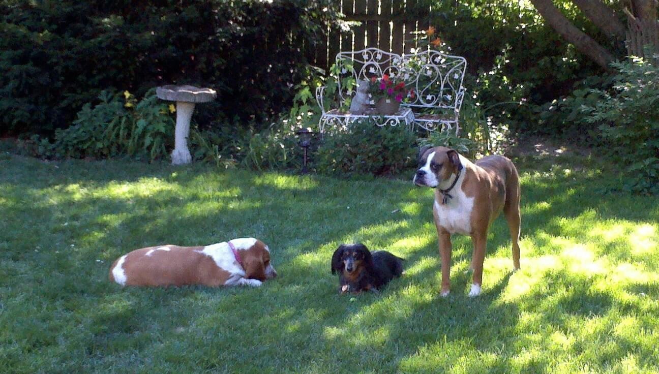 Family relaxing after exercise (JPG)
