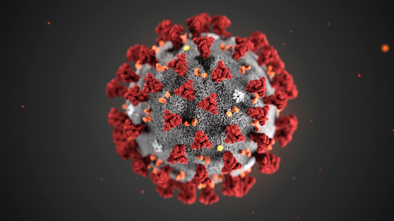 Corona Virus Image (JPG)