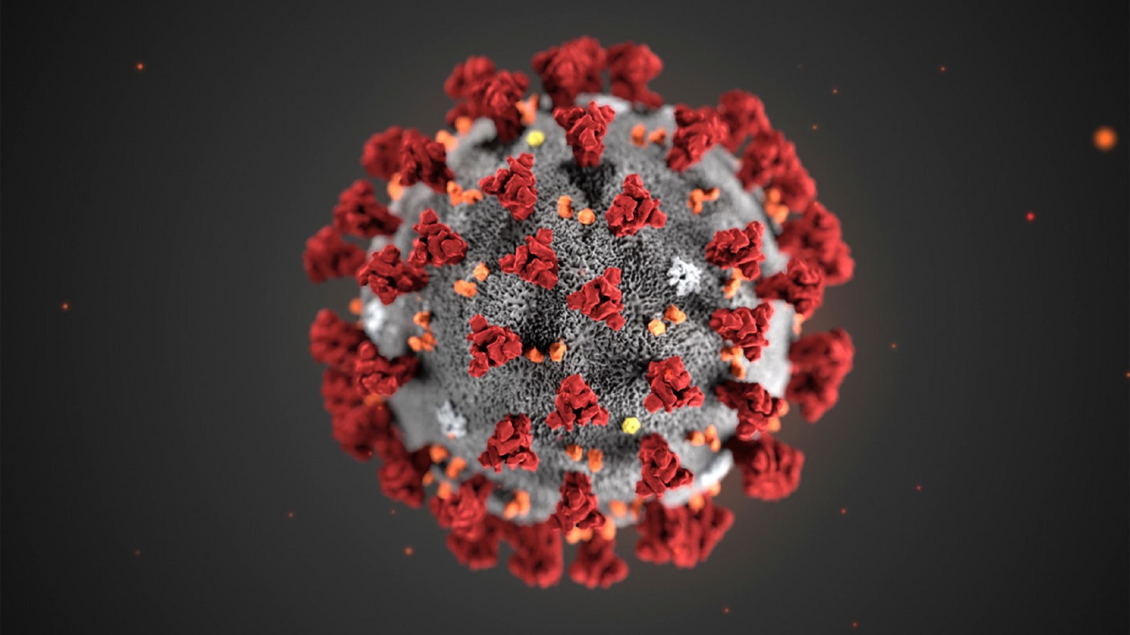 Corona Virus Image 2 (JPG)