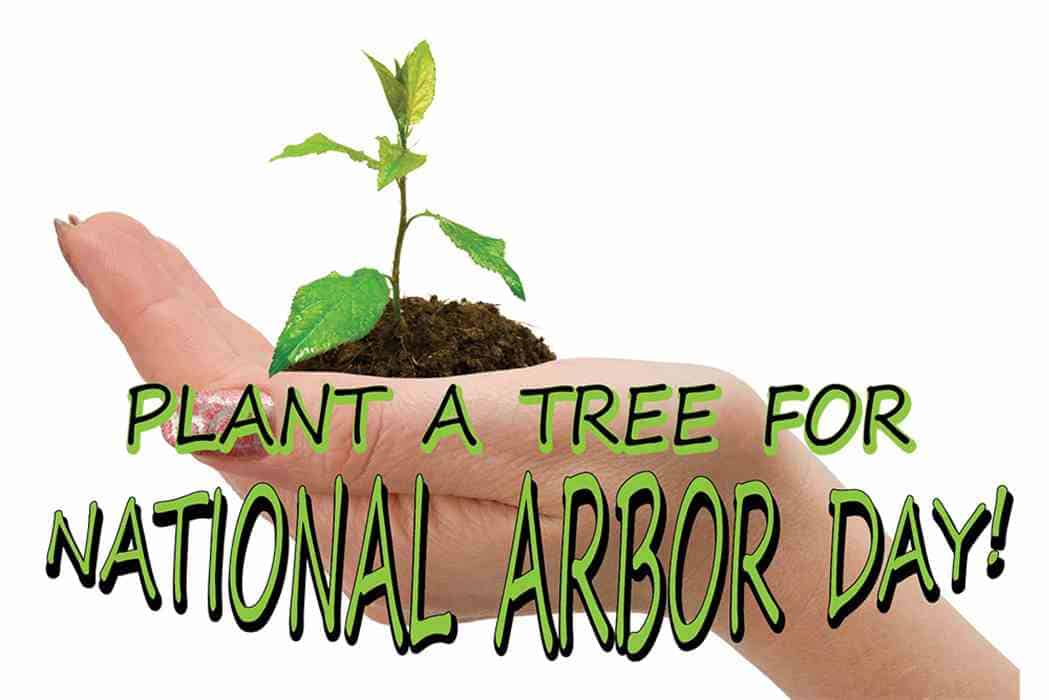 ARBOR-DAY (JPG)