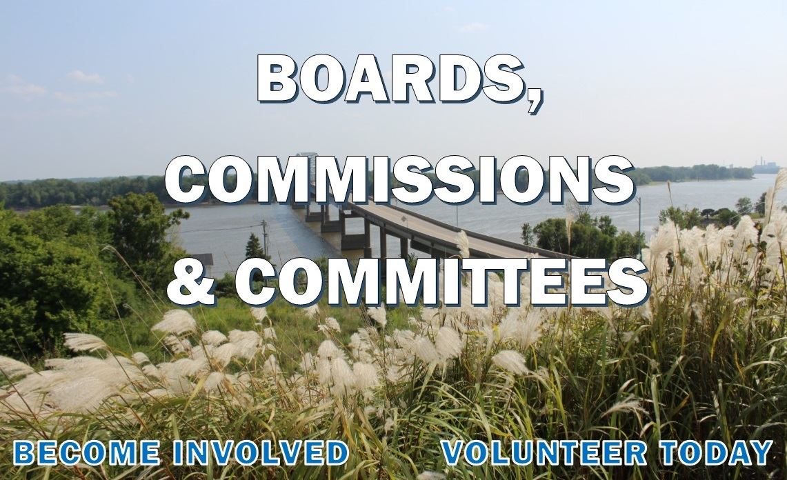 Board and Commissions 2 (JPG)