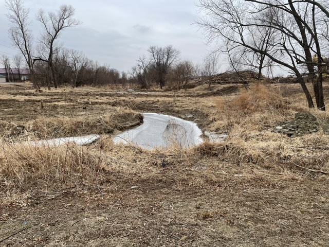 022422 Wetlands 002 (JPG)