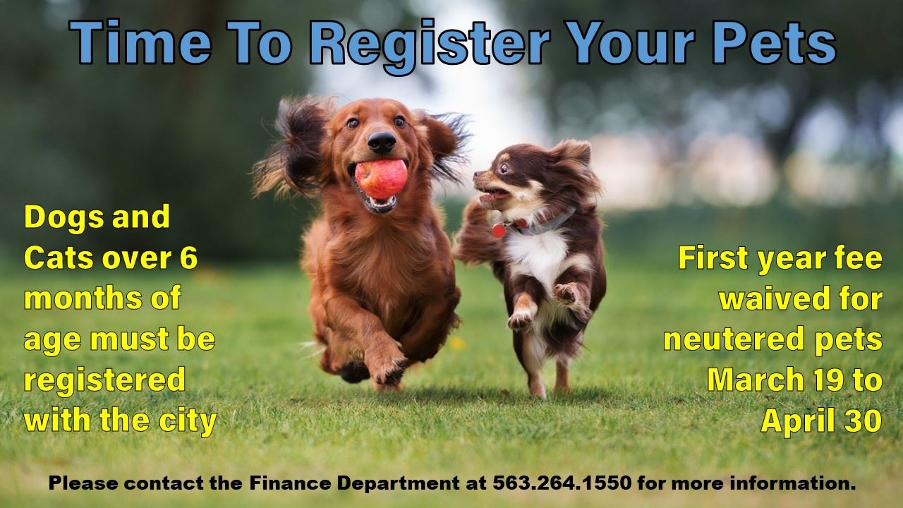 Pet Licensing 2022 (JPG)