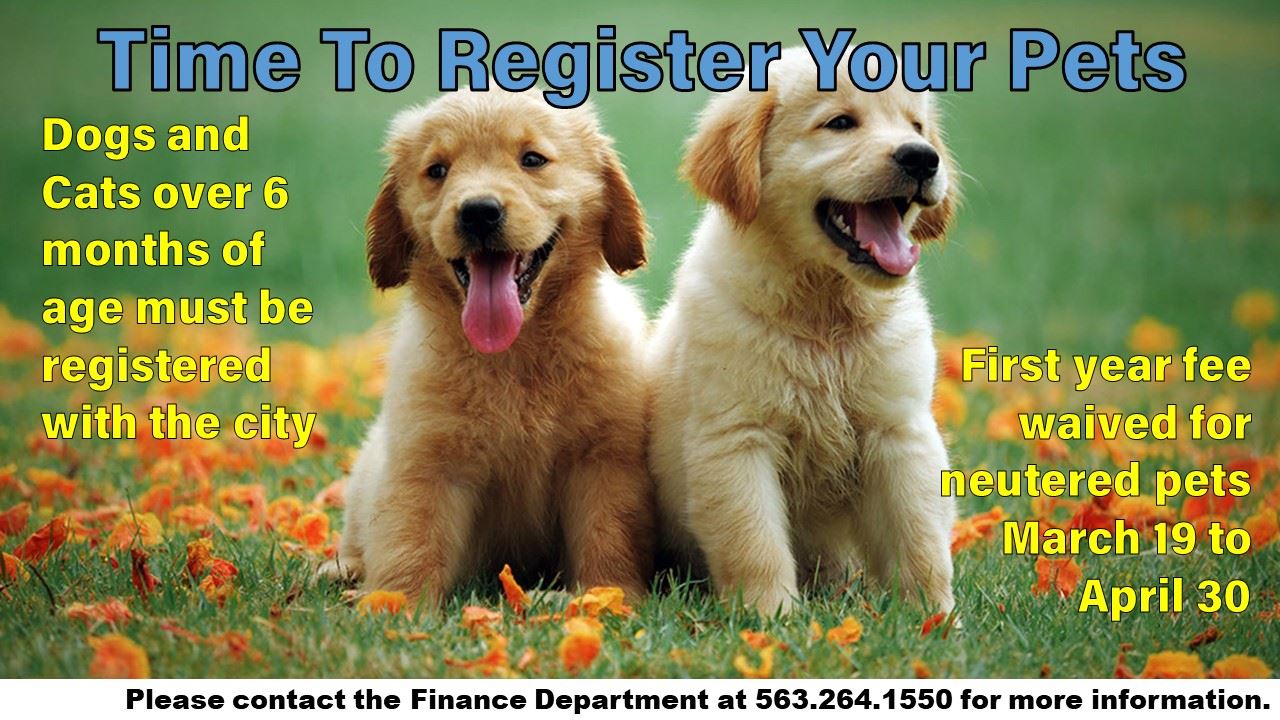 Pet Licensing 2022-02 (JPG)