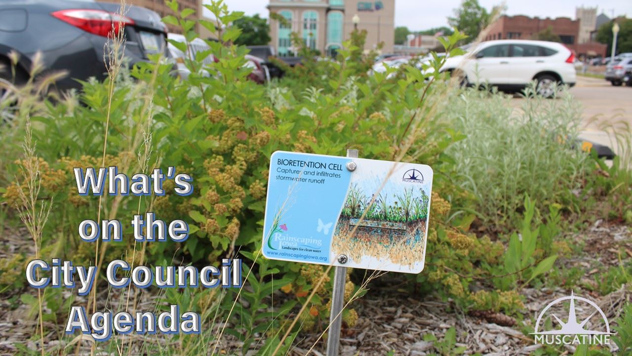 What is on the Council in-depth meeting agenda (JPG)