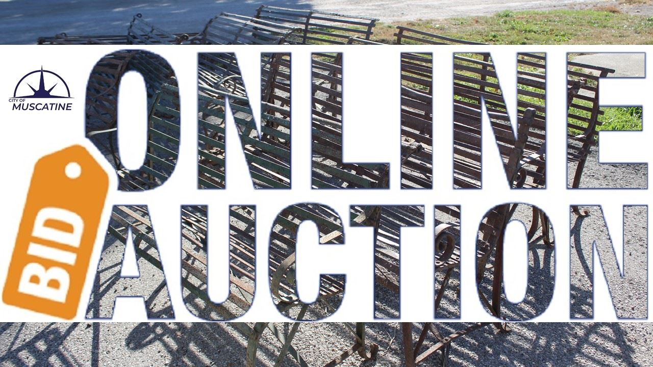 2024 November Online Auction Promo (JPG)