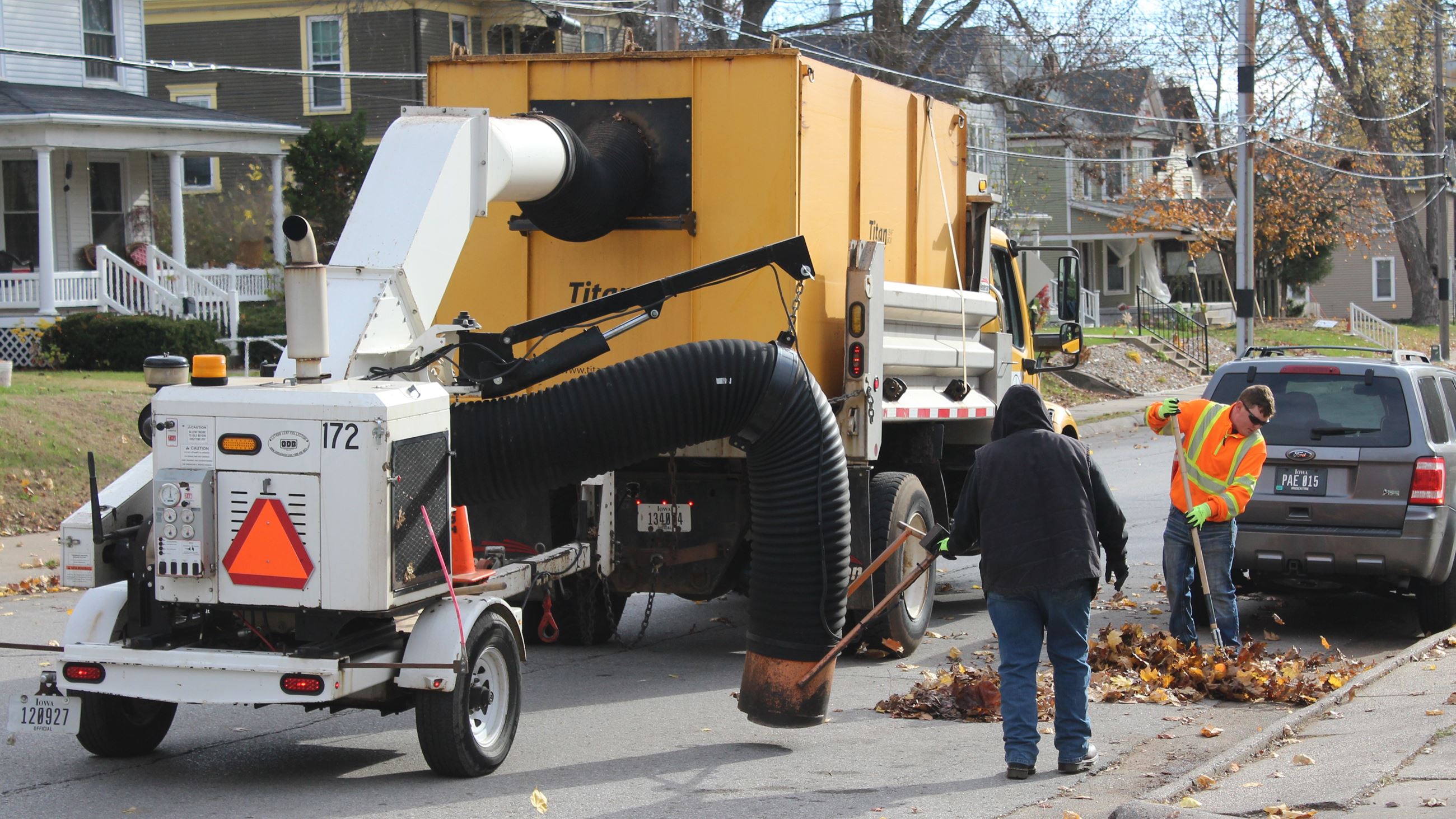 Collecting Leaves on Mulberry Street November 20, 2024 (JPG)