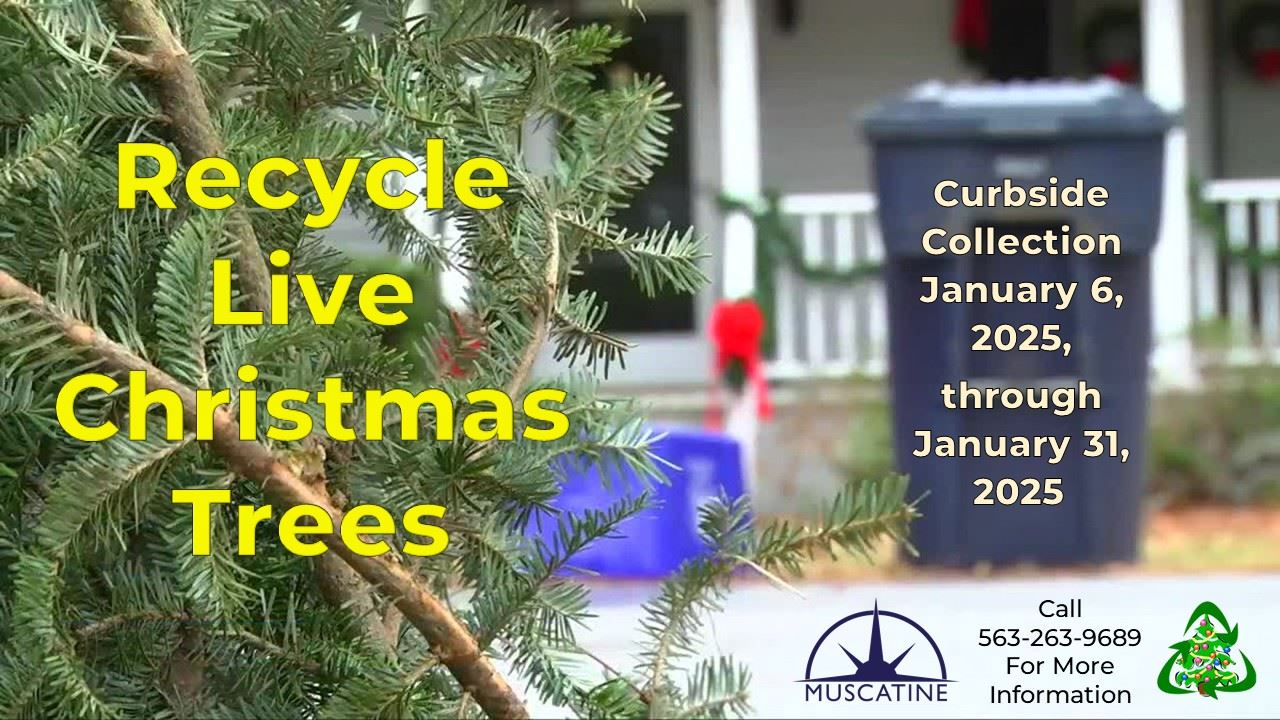 2025 Christmas Tree Recycling Promo (JPG) showing Christmas tree