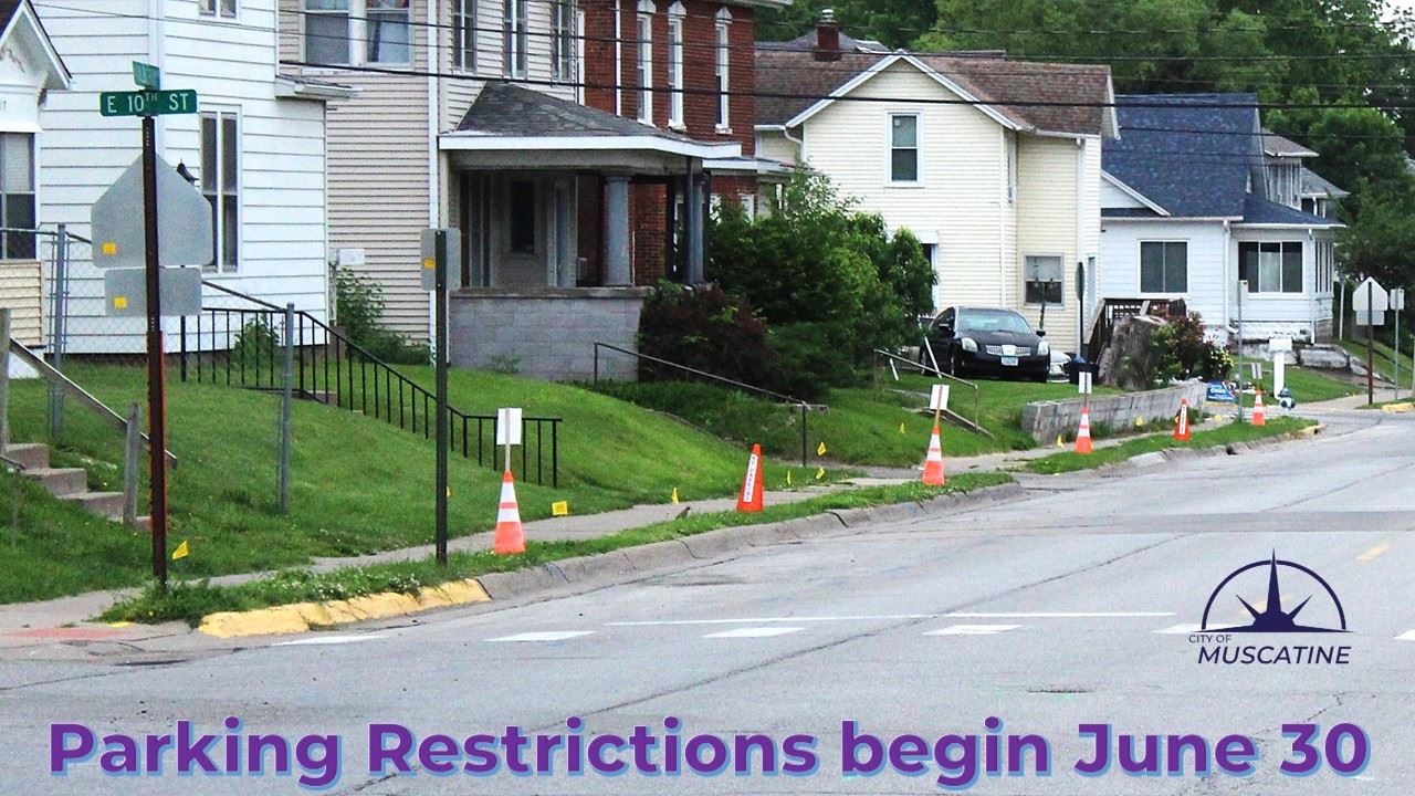 Parking Restrictions on Mulberry Avenue (JPG)
